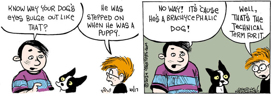 Zack Hill for Oct 17, 2024