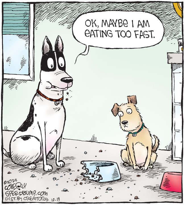 Speed Bump for Oct 19, 2022