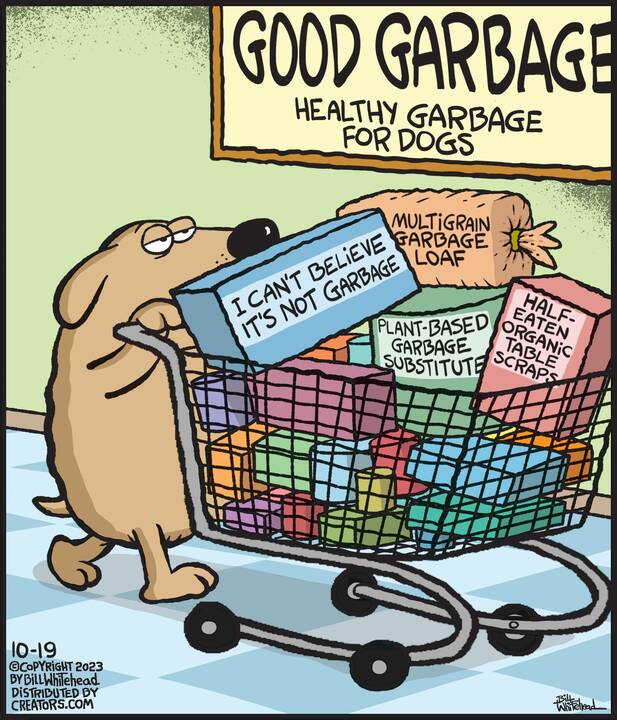 Free Range for Oct 19, 2023