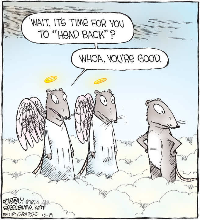 Speed Bump for Oct 19, 2024