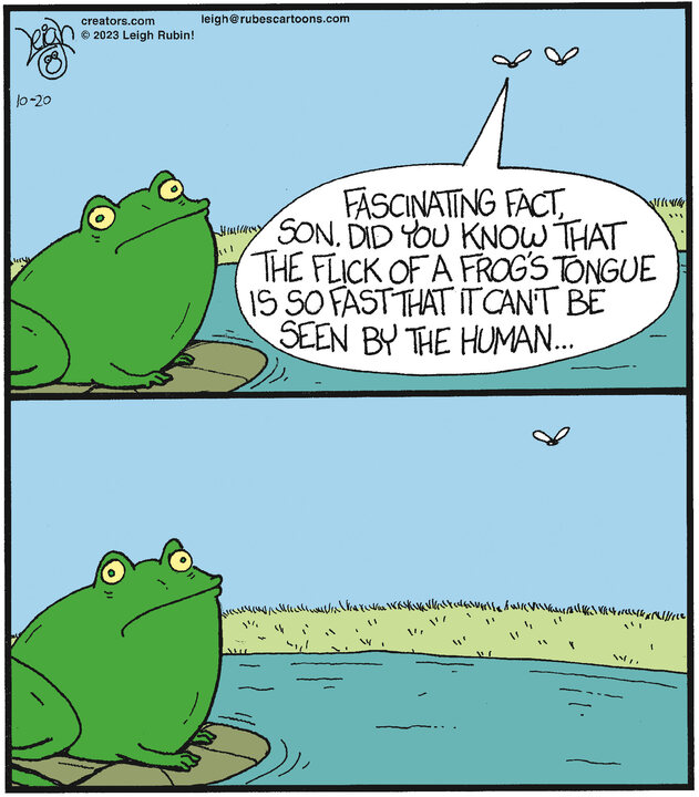 Rubes® for Oct 20, 2023