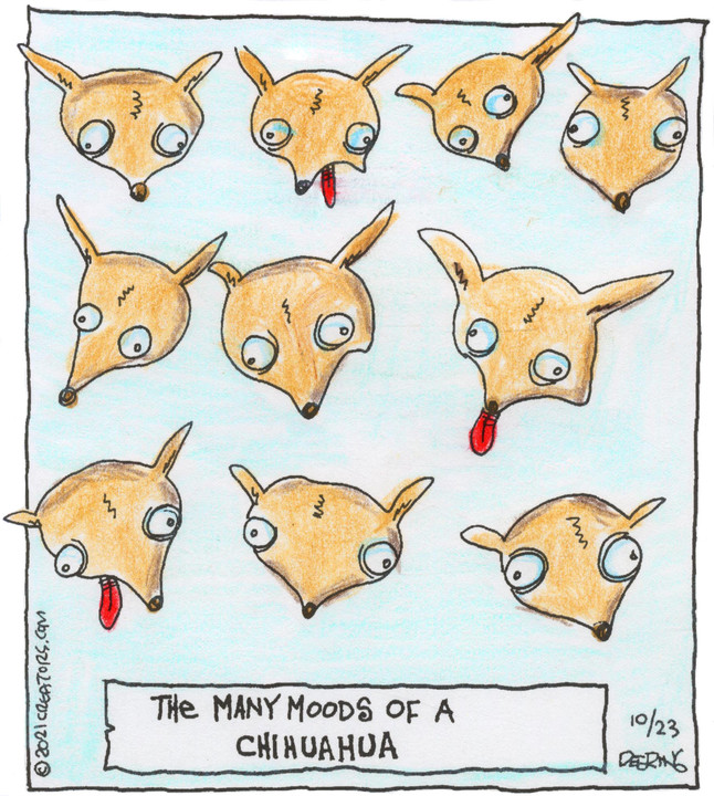 Strange Brew for Oct 23, 2021