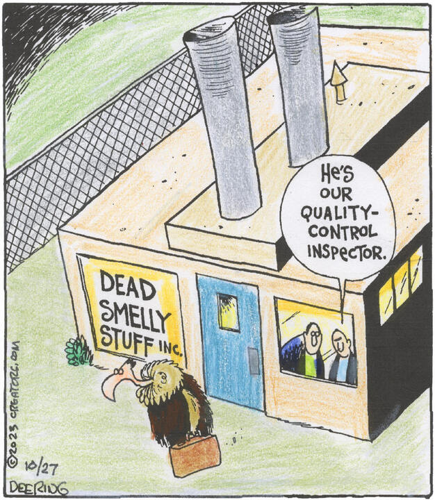 Strange Brew for Oct 27, 2023