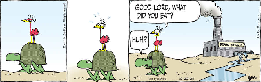 B.C. for Oct 29, 2024