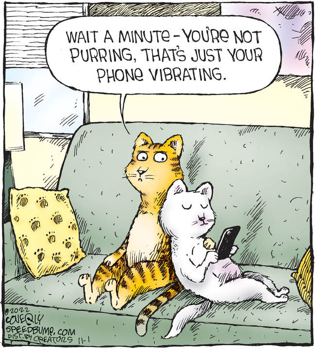 Speed Bump for Nov 01, 2022