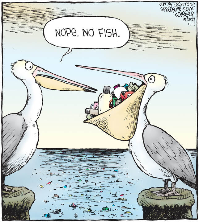 Speed Bump for Nov 01, 2023