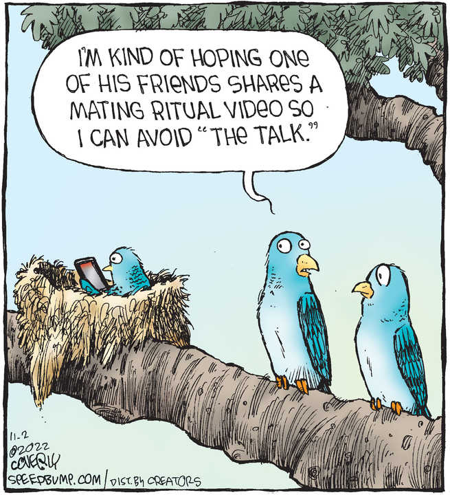 Speed Bump for Nov 02, 2022