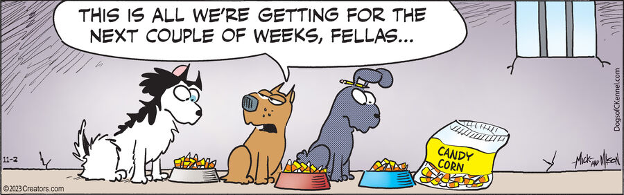 Dogs of C-Kennel for Nov 02, 2023