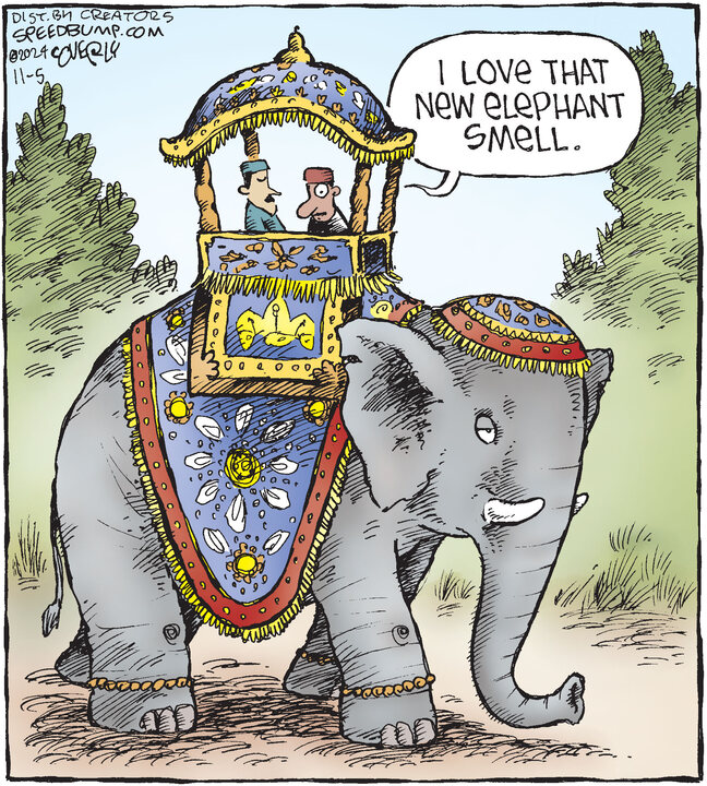 Speed Bump for Nov 05, 2024