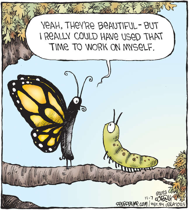 Speed Bump for Nov 07, 2023