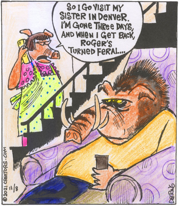 Strange Brew for Nov 08, 2021