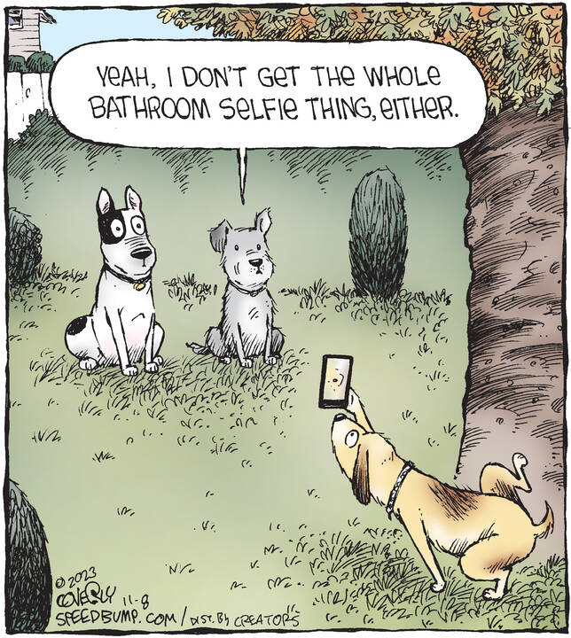 Speed Bump for Nov 08, 2023