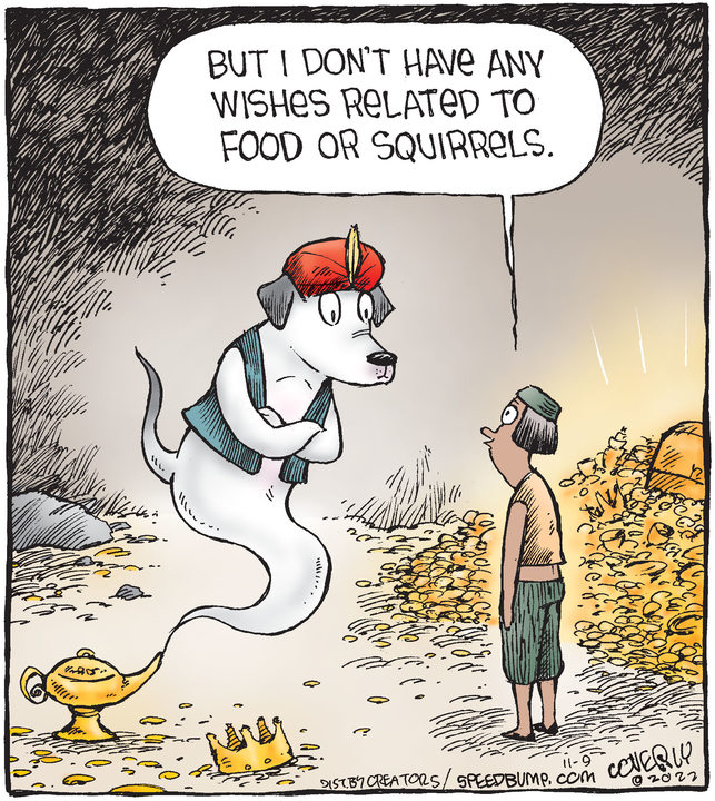 Speed Bump for Nov 09, 2022