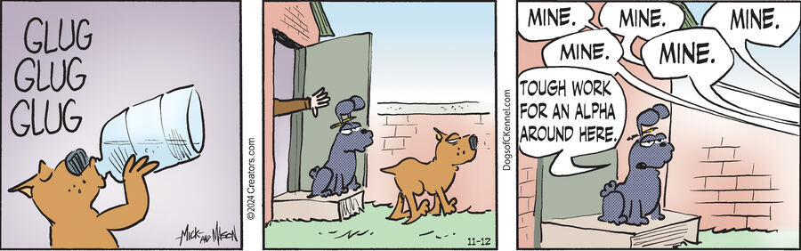 Dogs of C-Kennel for Nov 12, 2024