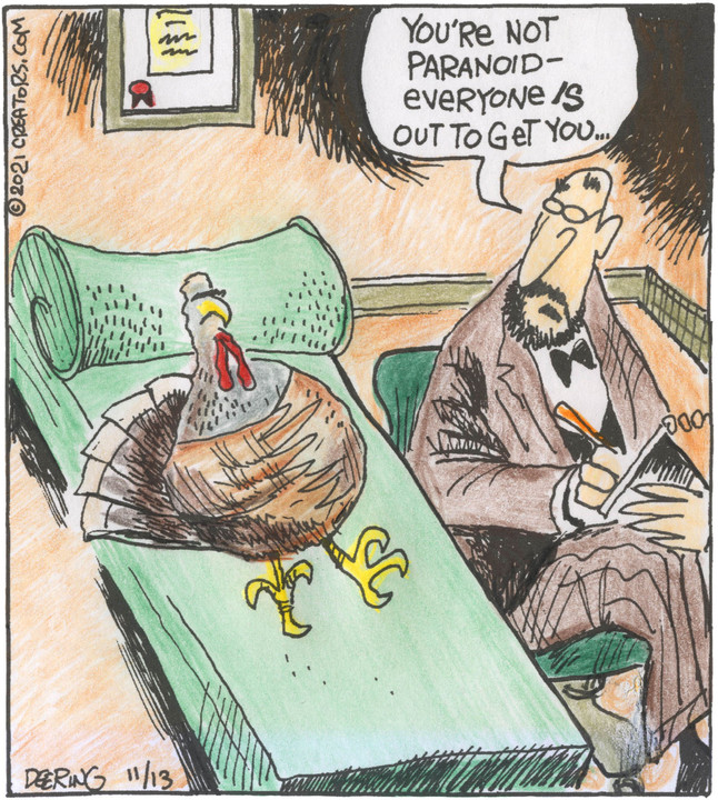 Strange Brew for Nov 13, 2021