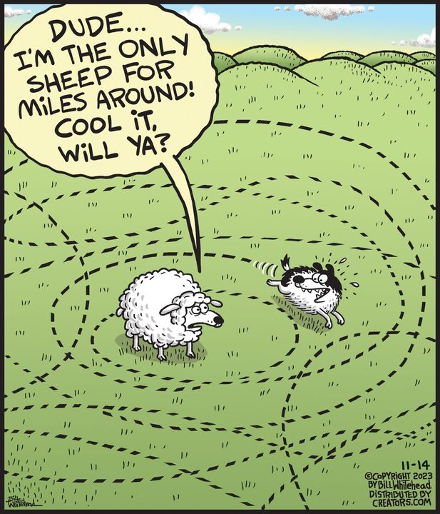 Free Range for Nov 14, 2023