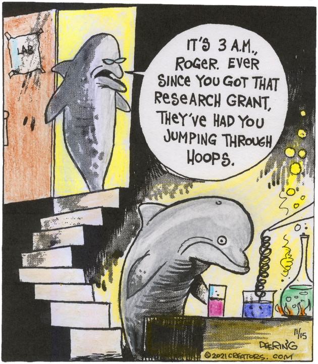 Strange Brew for Nov 15, 2021