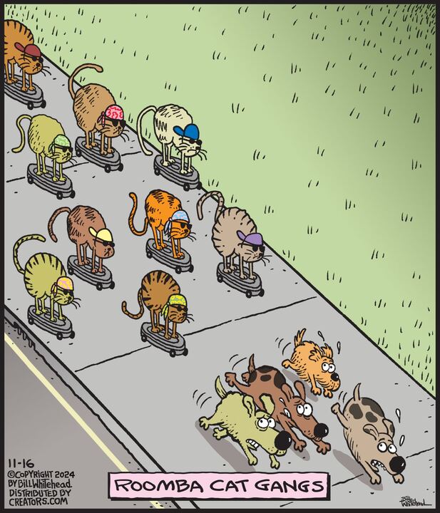 Free Range for Nov 16, 2024