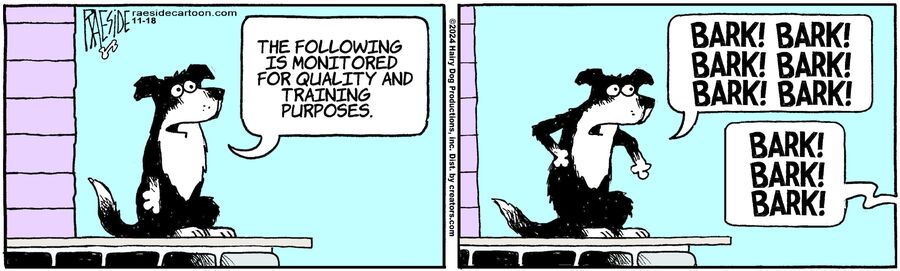 The Other Coast for Nov 18, 2024