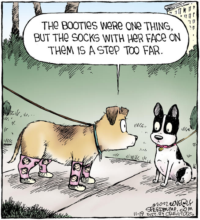 Speed Bump for Nov 19, 2022