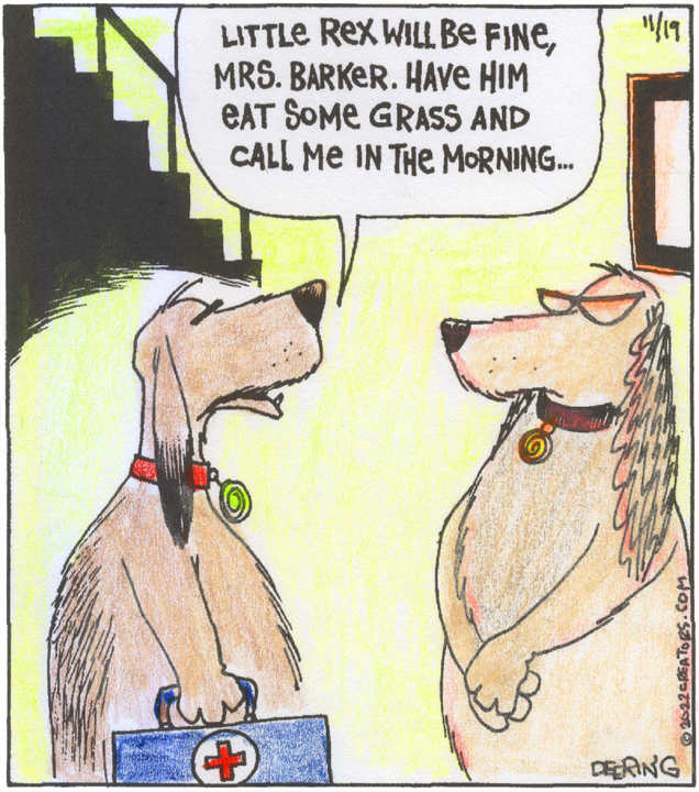 Strange Brew for Nov 19, 2022