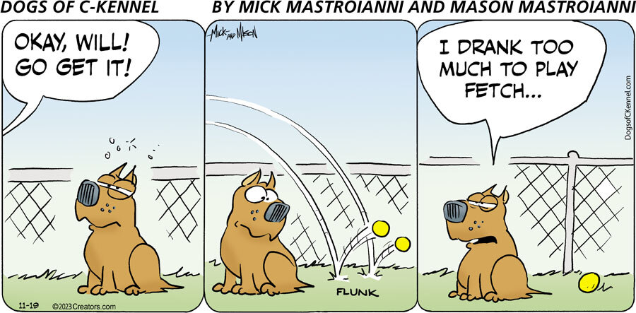 Dogs of C-Kennel for Nov 19, 2023