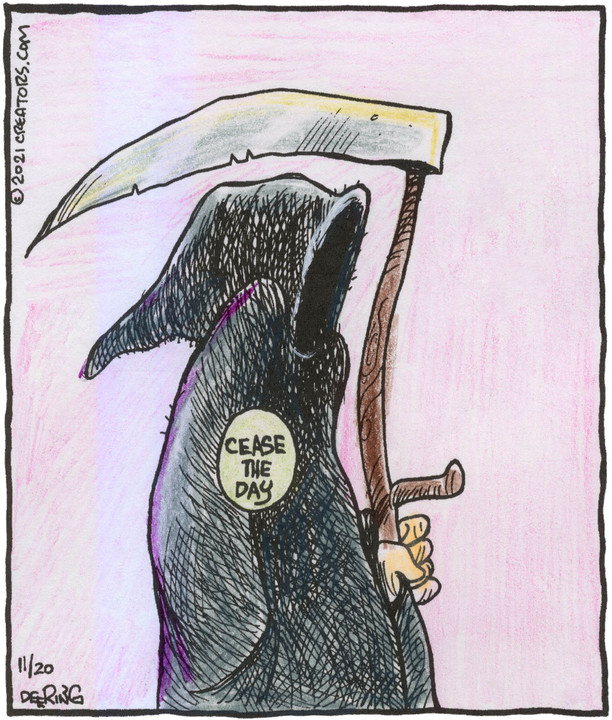 Strange Brew for Nov 20, 2021