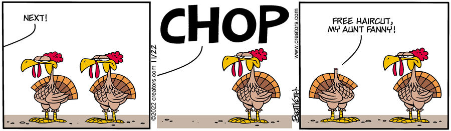 Diamond Lil for Nov 22, 2022