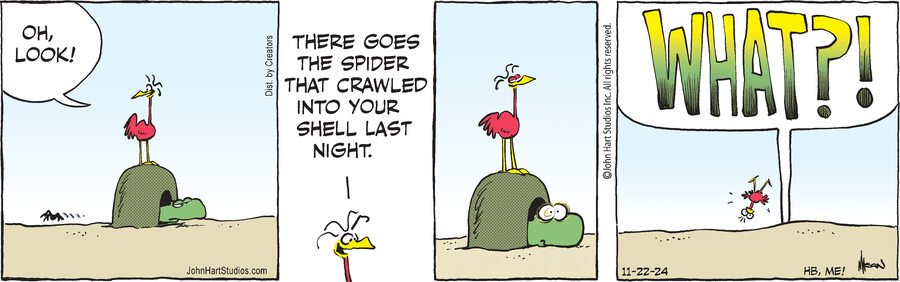 B.C. for Nov 22, 2024