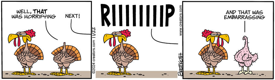 Diamond Lil for Nov 22, 2024