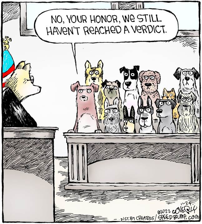 Speed Bump for Nov 24, 2022