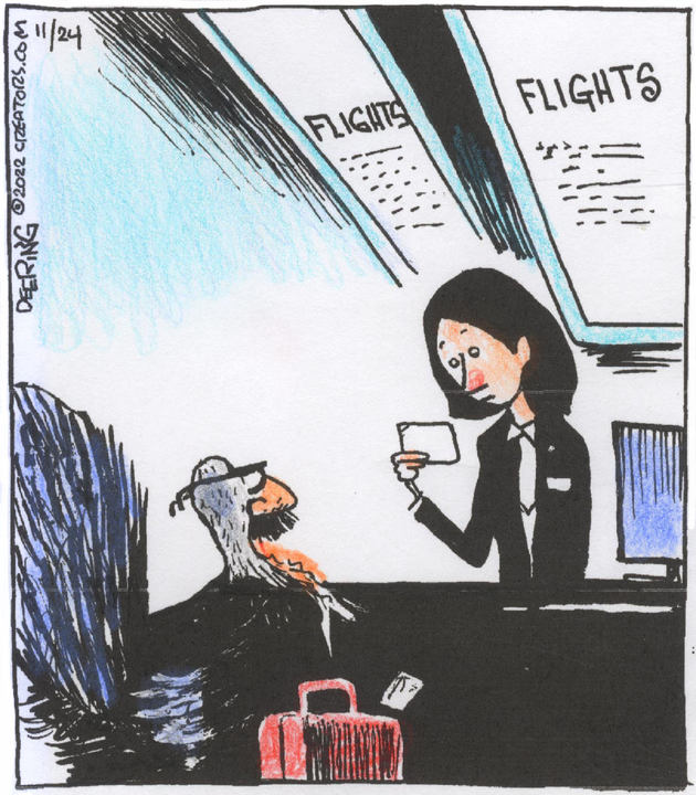 Strange Brew for Nov 24, 2022