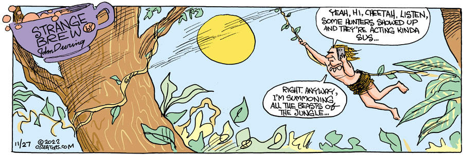 Strange Brew for Nov 27, 2022