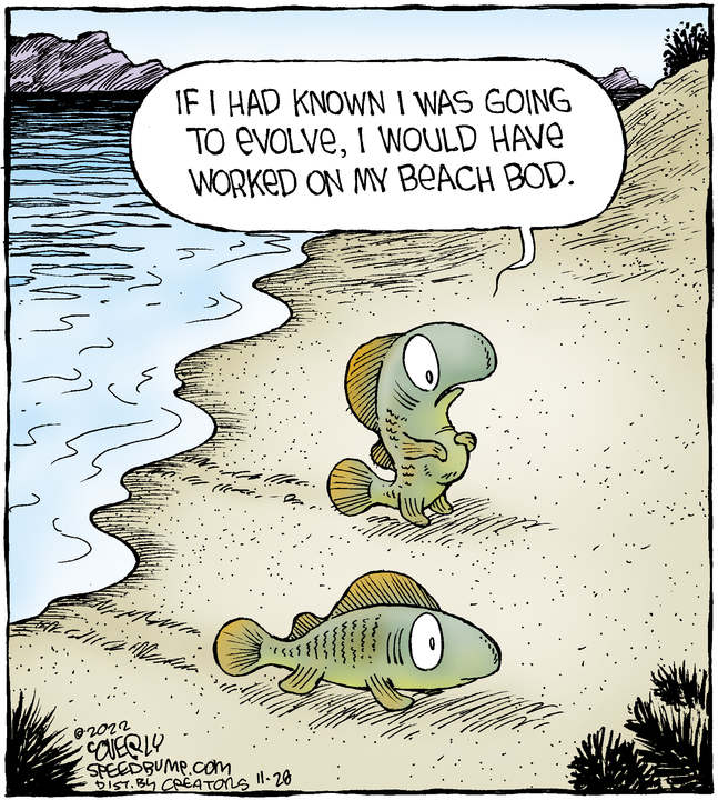 Speed Bump for Nov 28, 2022