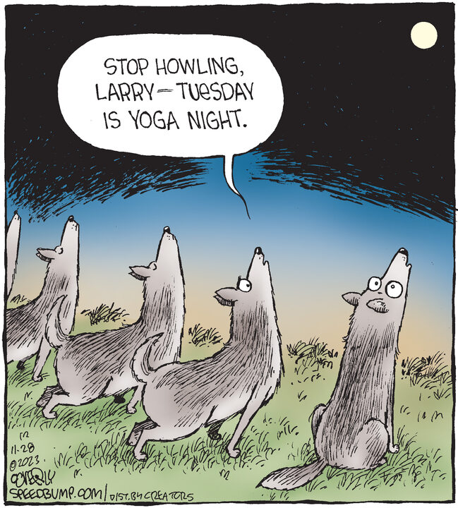 Speed Bump for Nov 28, 2023