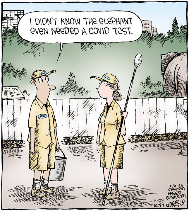 Speed Bump for Nov 29, 2022