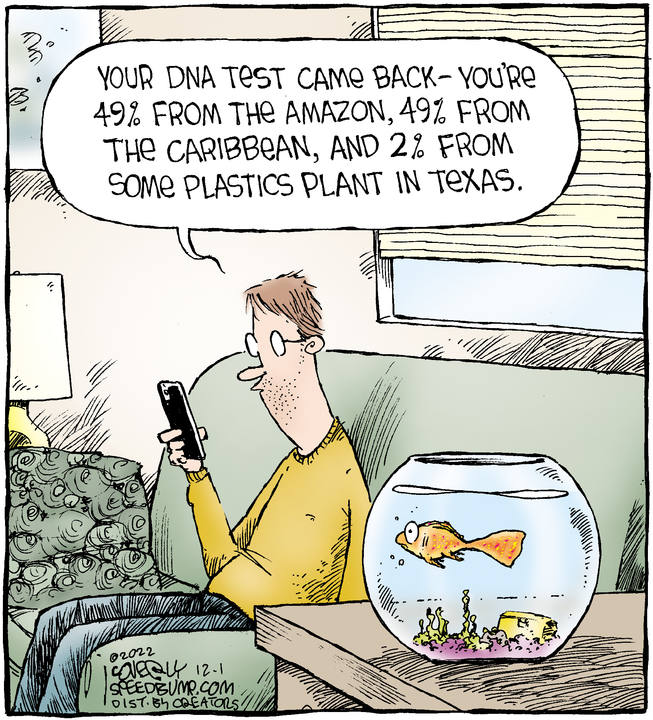 Speed Bump for Dec 01, 2022