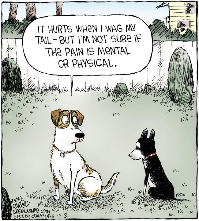 Speed Bump for Dec 03, 2022