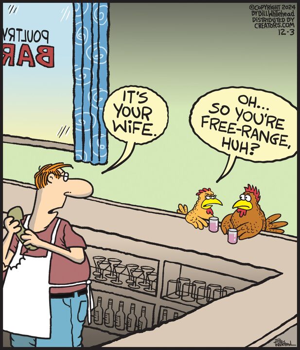 Free Range for Dec 03, 2024