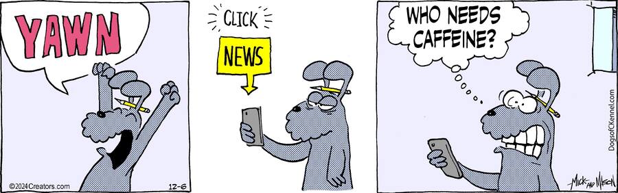 Dogs of C-Kennel for Dec 06, 2024