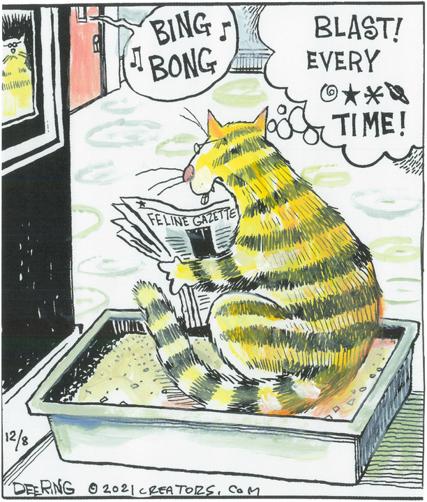 Strange Brew for Dec 08, 2021