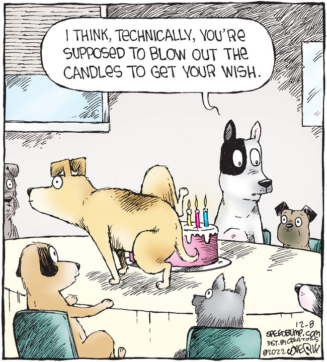 Speed Bump for Dec 08, 2022