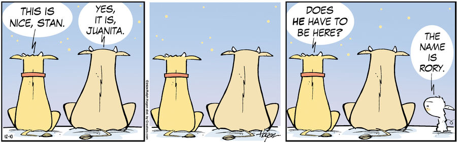 The Barn for Dec 10, 2024