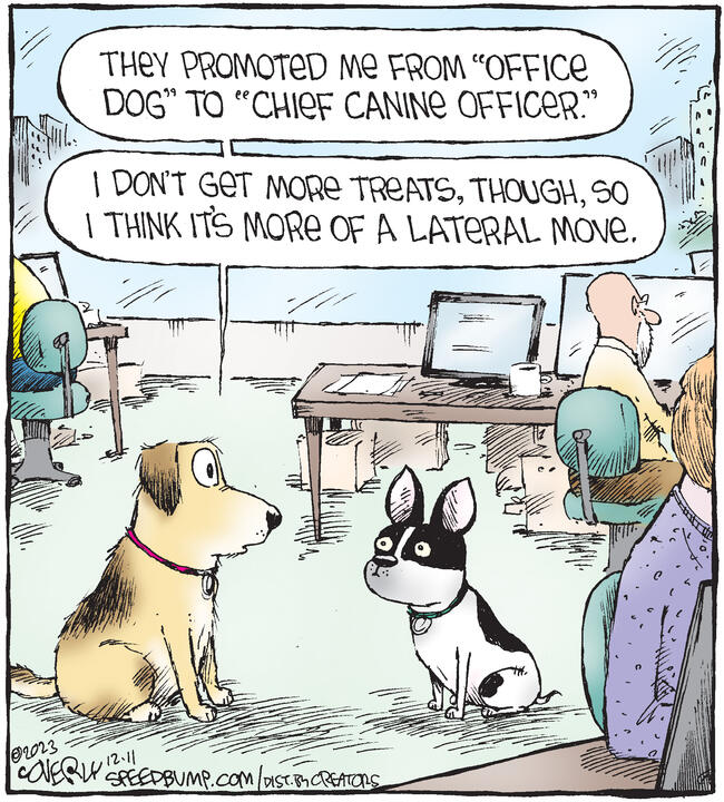 Speed Bump for Dec 11, 2023