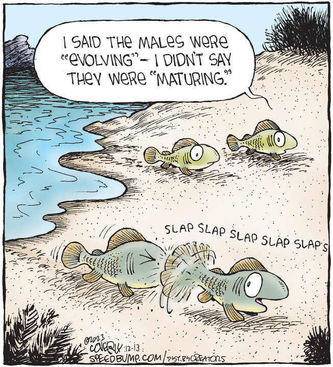 Speed Bump for Dec 13, 2023