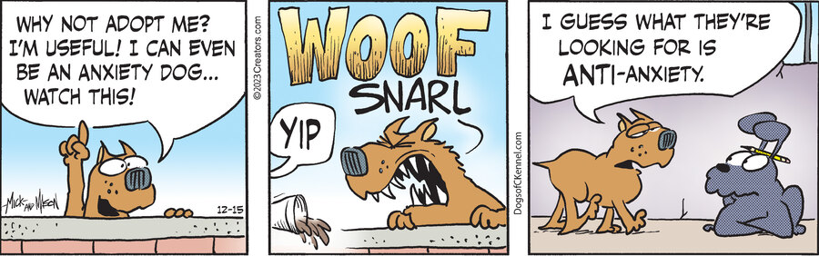 Dogs of C-Kennel for Dec 15, 2023