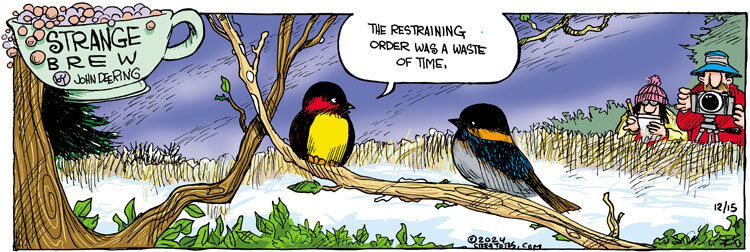 Strange Brew for Dec 15, 2024