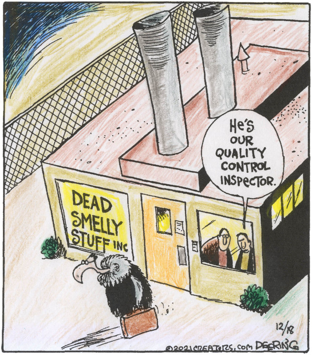 Strange Brew for Dec 18, 2021