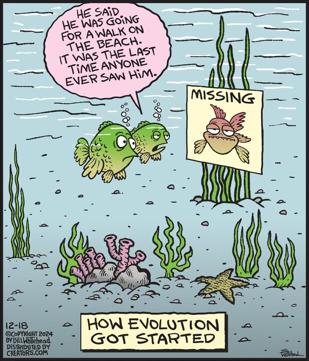 Free Range for Dec 18, 2024