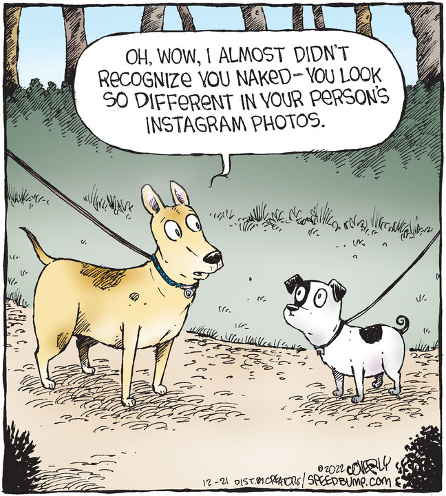 Speed Bump for Dec 21, 2022